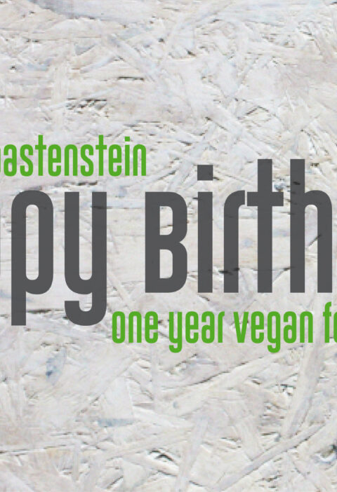 Geburtstag, Toastenstein, Vegan Food Blog