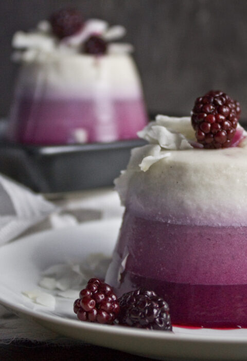 Panna cotta mit dunklen Waldbeeren