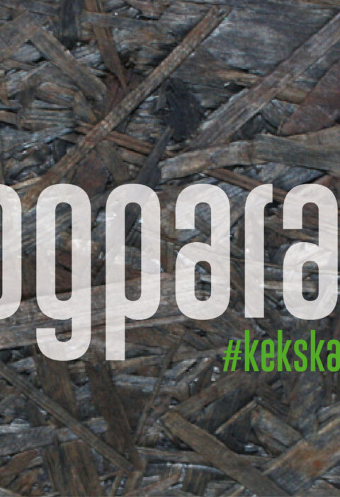 Blogparade #kekskatastrophe