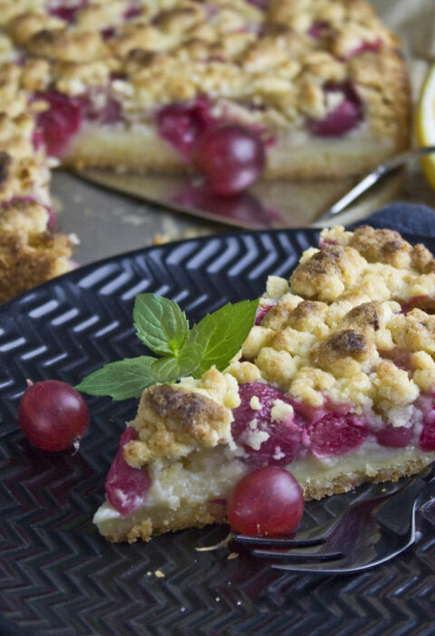 Stachelbeer-Streuselkuchen mit Pudding | Toastenstein