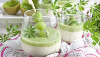 Waldmeister-Panna Cotta mit Kiwi-Sauce | Toastenstein