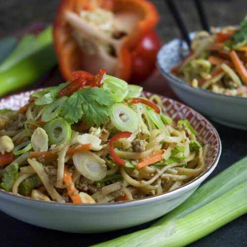 Reisnudel-Gemüse-Salat mit Erdnuss-Dressing | Toastenstein.com