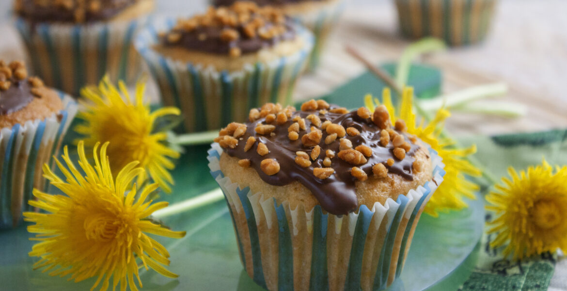 Löwenzahn-Muffins mit Orange und Zitrone