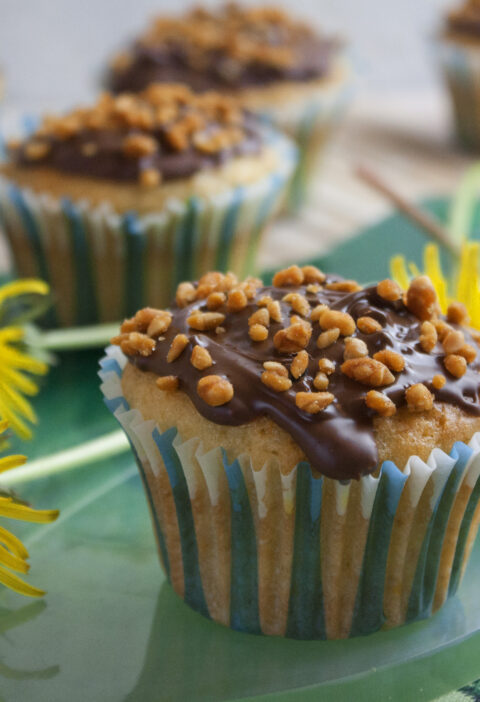 Löwenzahn-Muffins mit Orange und Zitrone