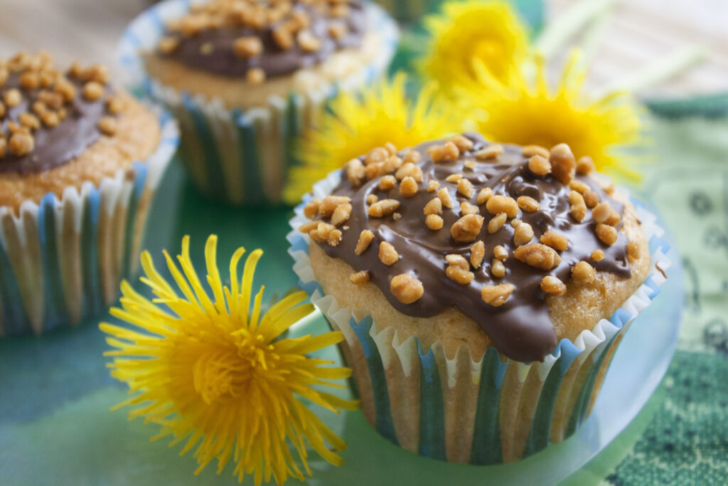 Löwenzahn-Muffins mit Orange und Zitrone | Toastenstein