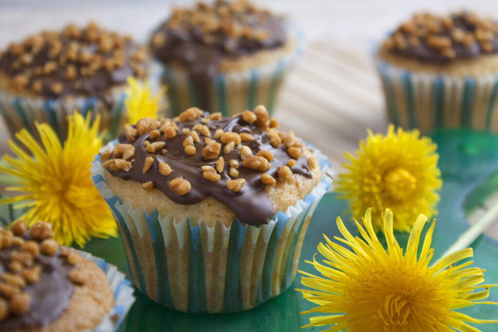 Löwenzahn-Muffins mit Orange und Zitrone | Toastenstein